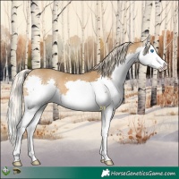 Horse Color:Chocolate Palomino Mushroom Splash 