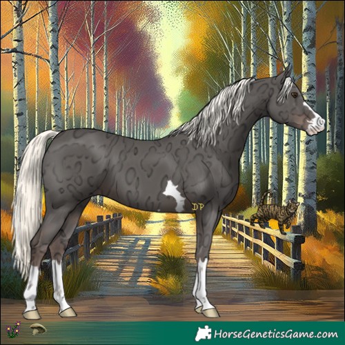 Horse Color:Liver Chestnut Ice Mushroom 