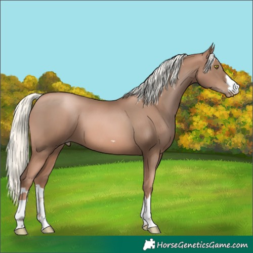 Horse Color:Liver Chestnut Pearl Mushroom 
