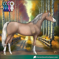 Horse Color:Liver Chestnut Pearl Mushroom