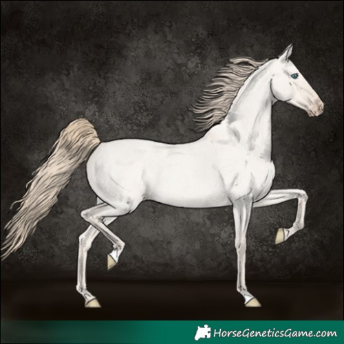 Horse Color:Smoky Creme Roan Dun 