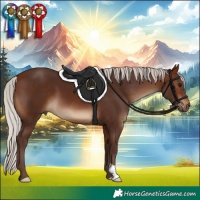 Horse Color:Silver Brown 
