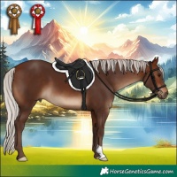 Horse Color:Silver Brown 