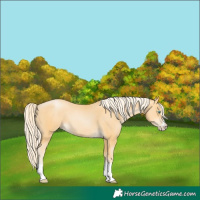 Horse Color:Palomino Pearl 