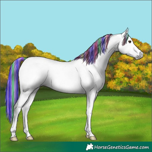 Horse Color:Gray Painted Chestnut 