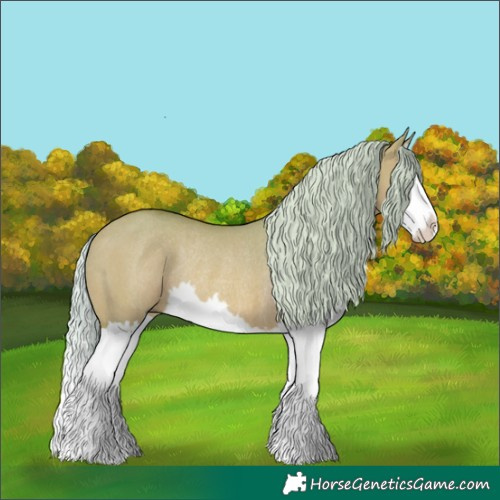 Horse Color:Watercolor Silver Bay Dun Splash Rabicano 