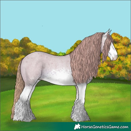 Horse Color:Watercolor White Spotted Red Dun Roan Rabicano 