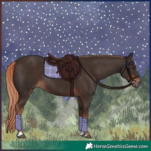 Horse Color:Liver Chestnut Rabicano 