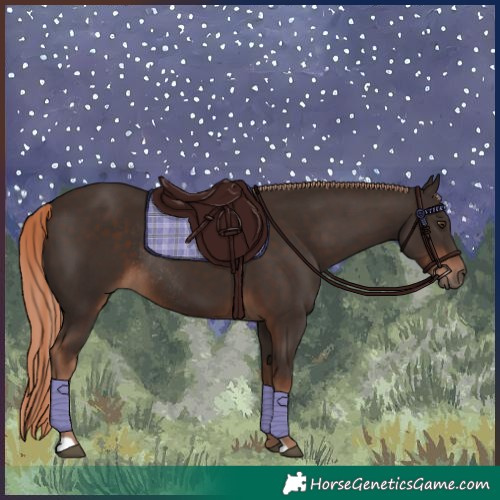 Horse Color:Liver Chestnut Rabicano