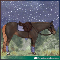 Horse Color:Liver Chestnut Rabicano