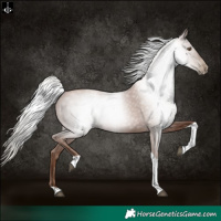 Horse Color:Gray Silver Black Pearl Tobiano 