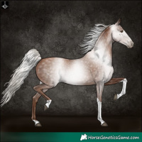Horse Color:Gray Silver Black Pearl Tobiano 