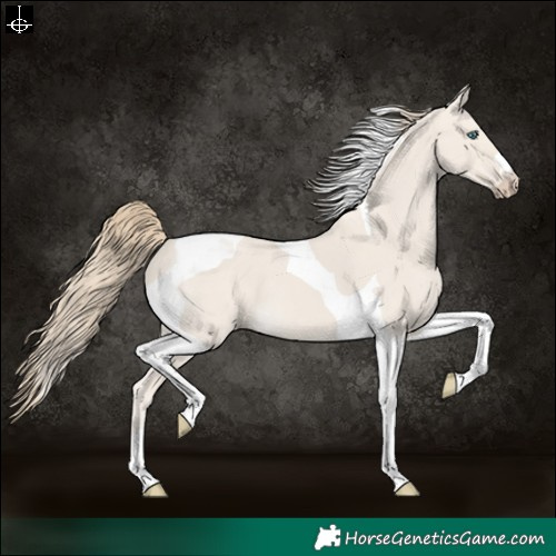 Horse Color:Smoky Creme Dun Tobiano 