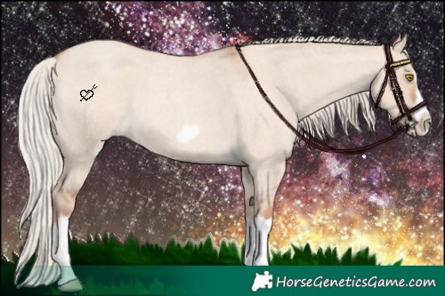 Horse Color:Silver Classic Champagne Roan Dun Splash Frame 