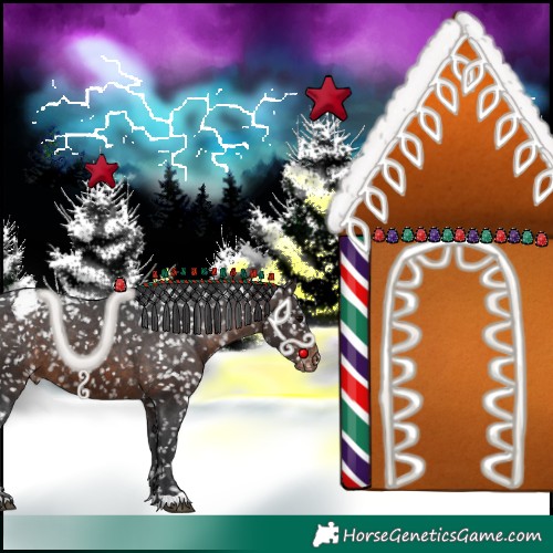 Horse Color:Brown Appaloosa 