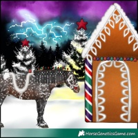 Horse Color:Brown Appaloosa 