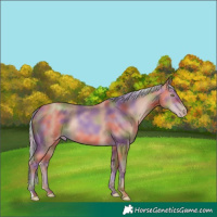 Horse Color:Nacre Silver Sable Champagne