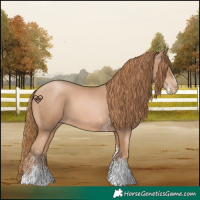 Horse Color:Chestnut Pearl Sabino 