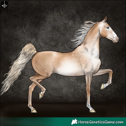 Horse Color:Gray Gold Cream Champagne Pearl 