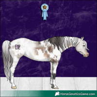 Horse Color:White Spotted Brown Dun Appaloosa 