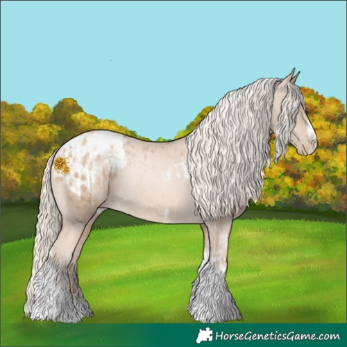 Horse Color:Chocolate Palomino Pearl Tobiano Frame Appaloosa  and Chocolate Palomino Pearl Tobiano Frame Appaloosa 