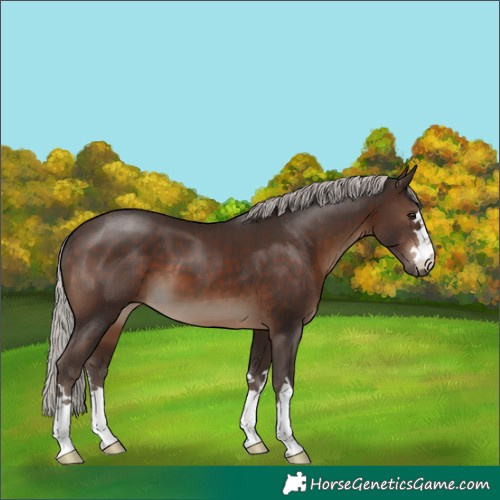 Horse Color:Silver Brown 