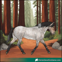 Horse Color:White Spotted Brown Roan Dun Rabicano