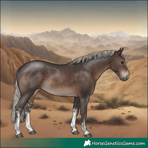 Horse Color:Silver Brown Sabino Rabicano