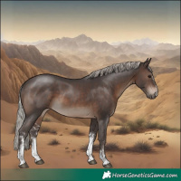 Horse Color:Silver Brown Sabino Rabicano 