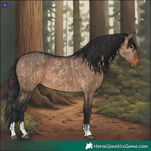 Horse Color:Brown Dun and Brown Dun