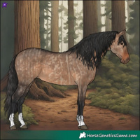 Horse Color:Brown Dun  and Brown Dun 