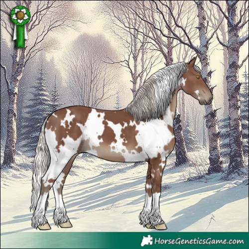 Horse Color:White Spotted Silver Black 