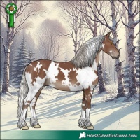 Horse Color:White Spotted Silver Black 