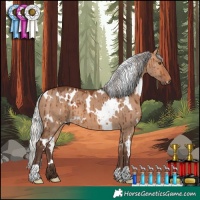 Horse Color:White Spotted Silver Brown Dun Brindle 