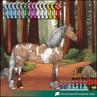 Horse Color:White Spotted Silver Brown Dun Brindle 