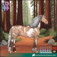 Horse Color:White Spotted Silver Brown Dun Brindle