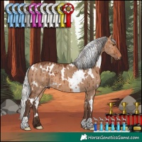 Horse Color:White Spotted Silver Brown Dun Brindle 