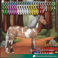 Horse Color:White Spotted Silver Brown Dun Brindle 