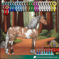 Horse Color:White Spotted Silver Brown Dun Brindle 