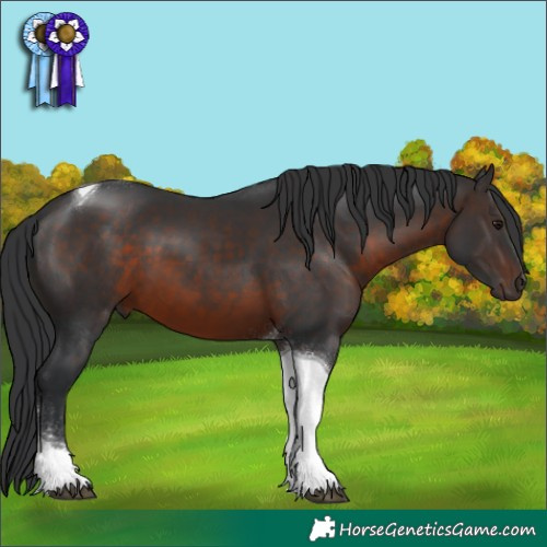 Horse Color:Brown Tobiano 