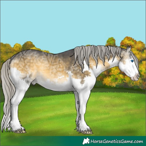Horse Color:Silver Buckskin Ice Onyx Splash 