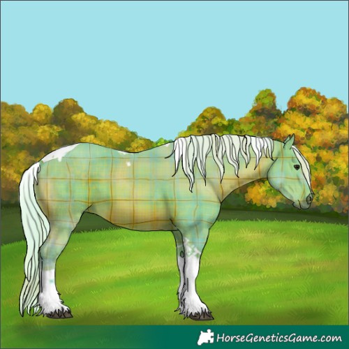 Horse Color:Watercolor Plaid  Silver Brown Tobiano 