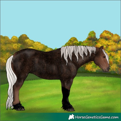 Horse Color:Void Silver Blue Roan Tobiano 