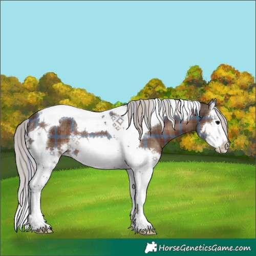 Horse Color:Plaid  Silver Black Splash Tobiano 