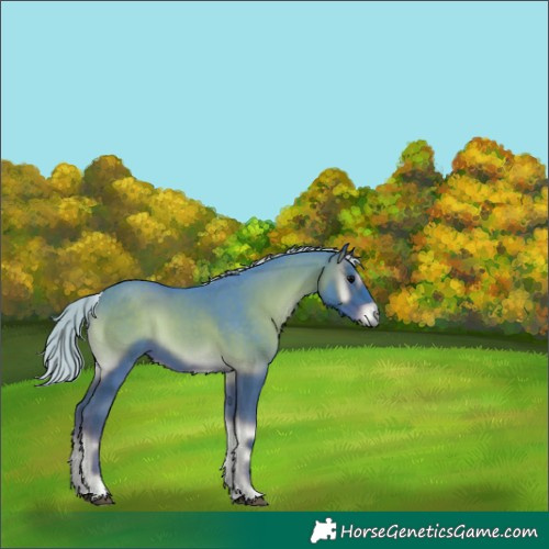 Horse Color:Watercolor Silver Blue Onyx 