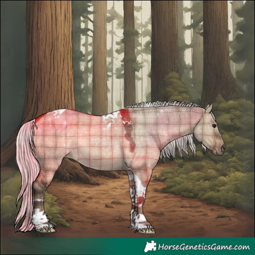 Horse Color:Plaid  Silver Brown Dun Tobiano 