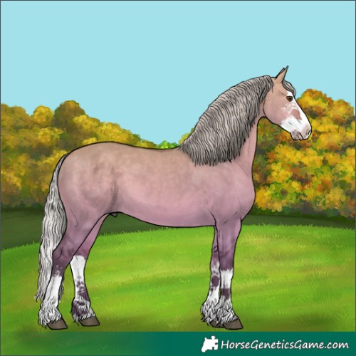Horse Color:Platinum Silver Brown Dun Sabino Splash 