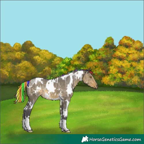 Horse Color:Painted White Spotted Silver Buckskin Ice Dun 