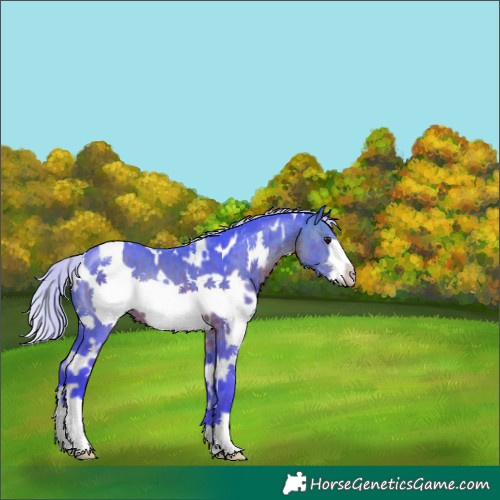 Horse Color:Watercolor White Spotted Silver Brown Frame 