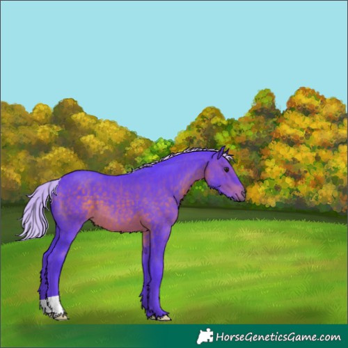 Horse Color:Watercolor Chocolate Silver Brown 